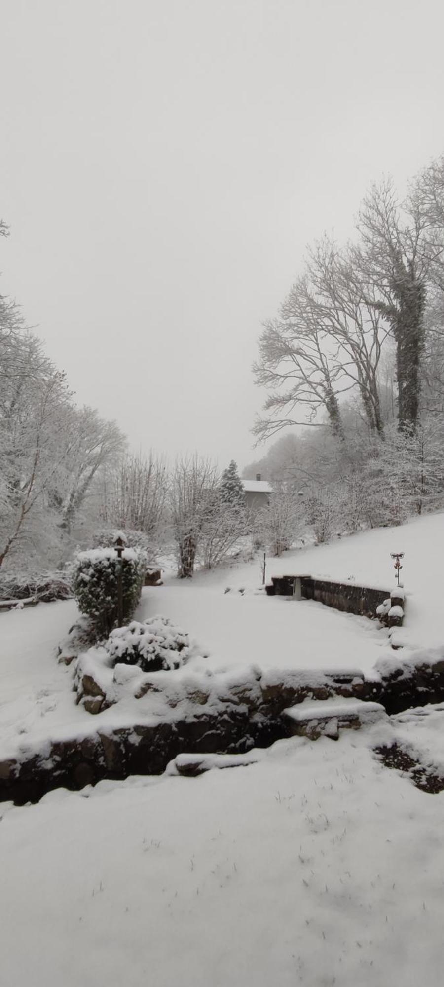 Un Air D'Alsace Villa Rimbach-près-Guebwiller Buitenkant foto